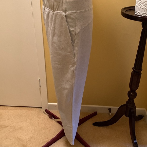 ARITZIA THE GROUP BABATON Rocket Pant Womens Gray French Terry Sweatpants - Picture 4 of 11